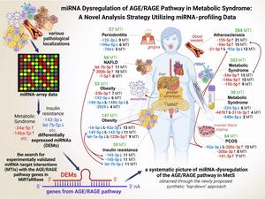 miRNA Dysregulation of AGE/RAGE Pathway in Metabolic Syndrome: A Novel Analysis Strategy Utilizing miRNA-profiling Data