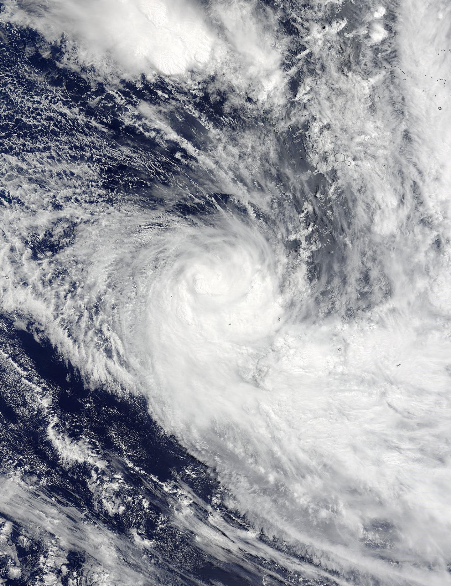 Terra Image of Yalo