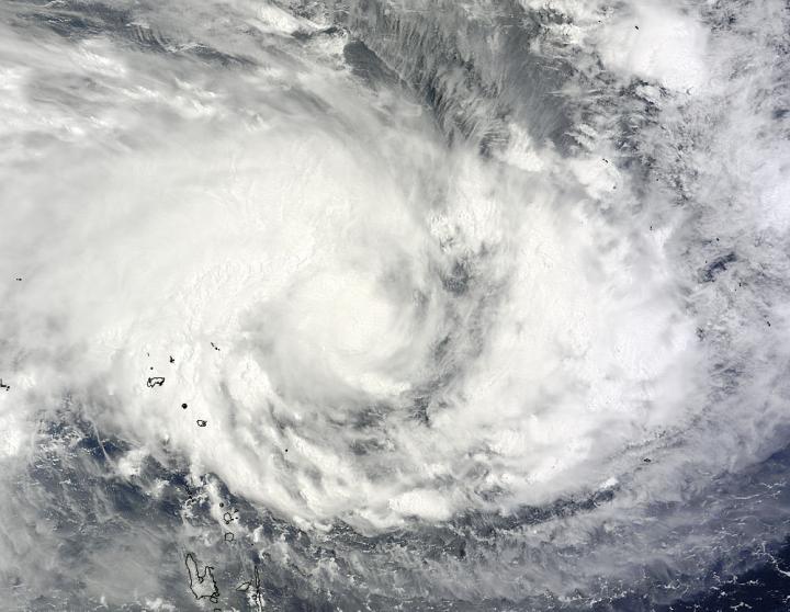 Terra Image of Pam