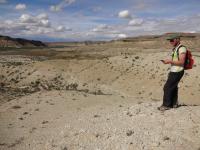 GPS for Shrubby Reed-Mustard