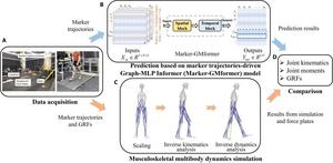 Workflows of predicting lower limb multi-joint kinematics, moments, and ground reaction forces (GRFs).