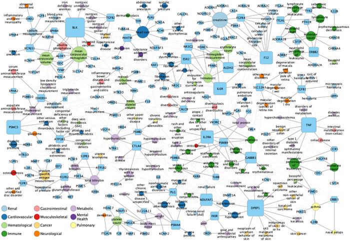 Network visualization of gene-trait pairs with known safety events from FAERS.