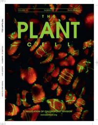 Effects of Mutant Mechanosensitive Channels