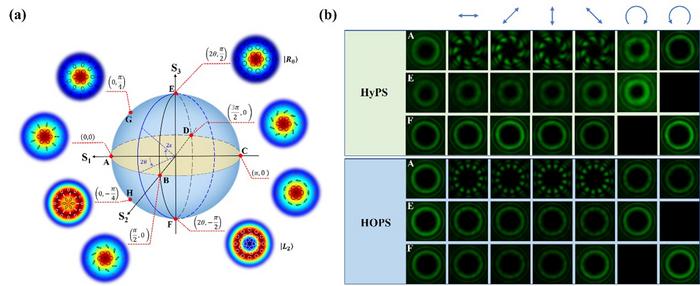 Figure 2. (a) Geometric framework of HyPS. (b) Intensity distributions corresponding to states A, E, and F generated on HyPS and HOPS