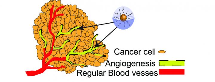 Cancer Therapy
