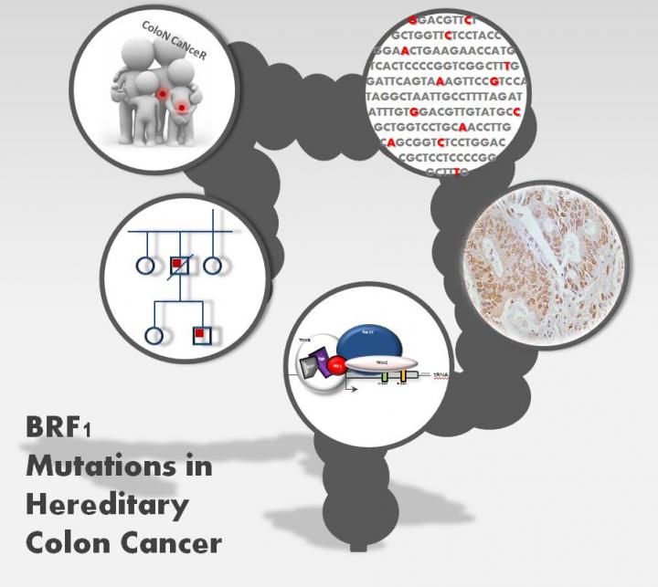 Graphical Abstract