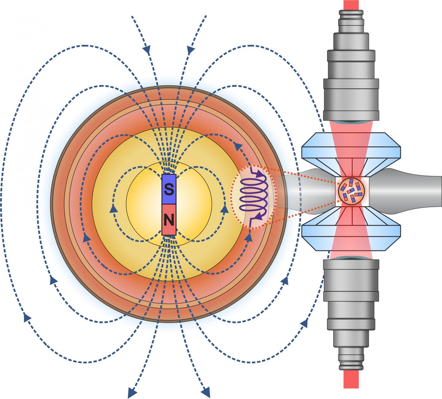 Graphic Illustration of the Experiment