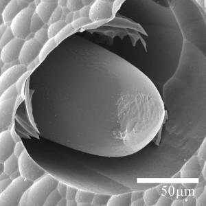 A Tiny Silicon Core