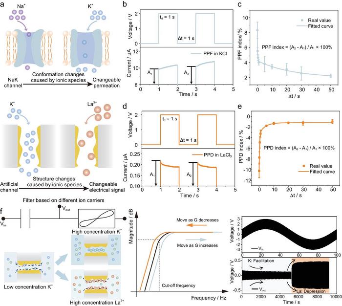 The distinct electrical signal while using different ions as carriers and the HPF circuit.