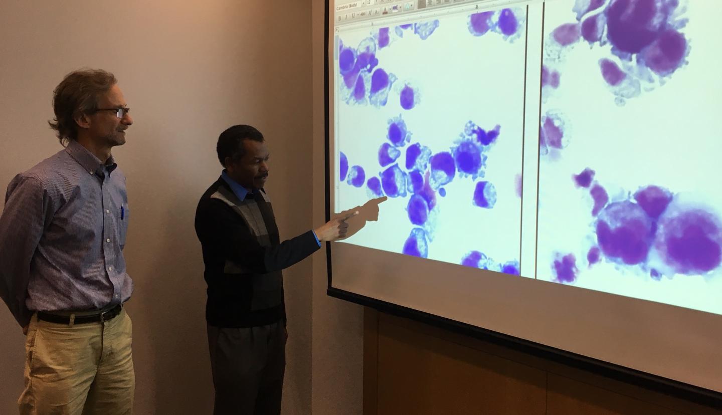 Blood Discovery Could Benefit Preemies, Help End Platelet Shortages
