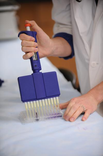 Beth Falwell Prepares a Sample