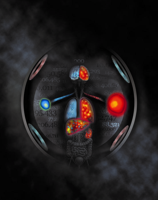 Whole-body magnetic particle imaging