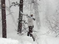 Dr. Jon Slaght, Wildlife Conservation Society 