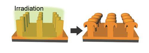 Schematic Diagram of Mushroom-Shaped Structure Fabrication