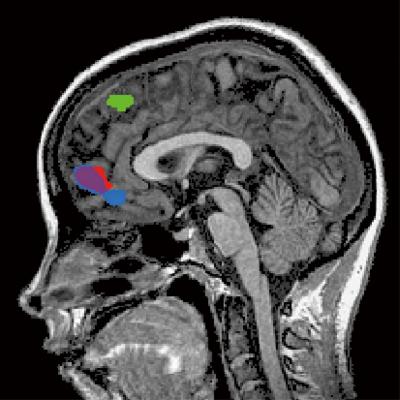 Neural Activity for the Simulation of Another Person