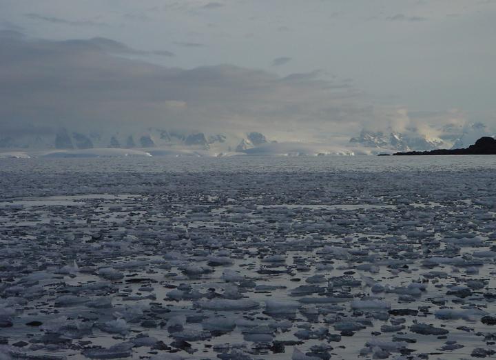Sea Ice