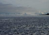 Sea Ice