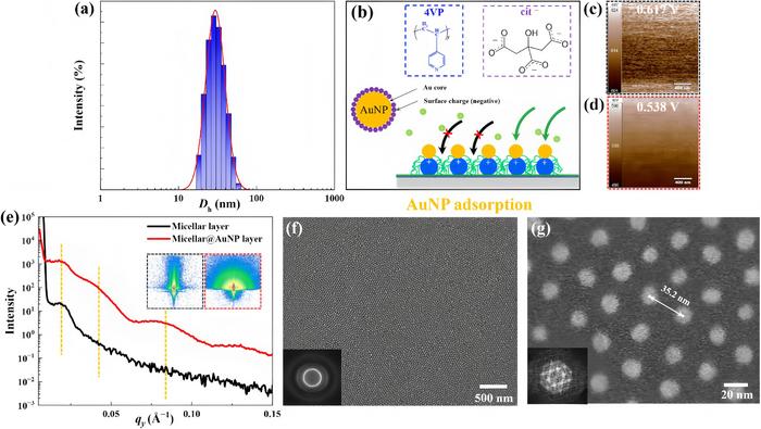 Point-to-Point Adsorption Creates Ordered Gold Nanoparticle Arrays for Memory Devices
