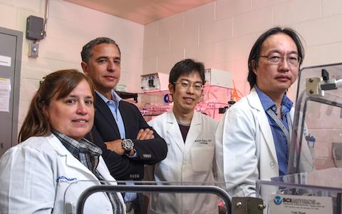 UTSW Researchers