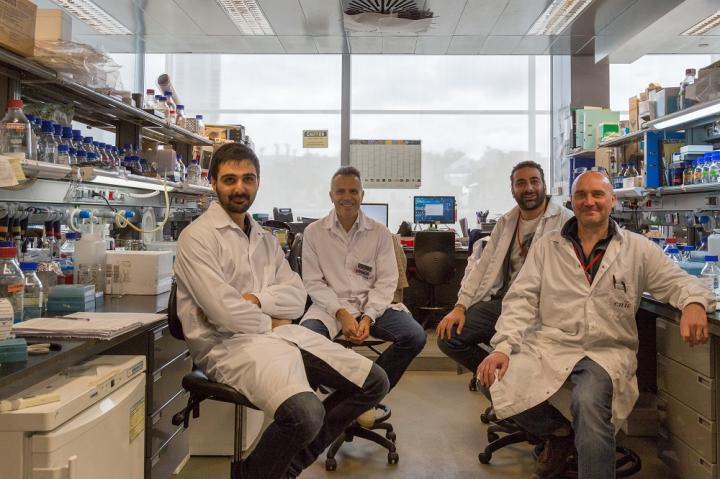 Research Team