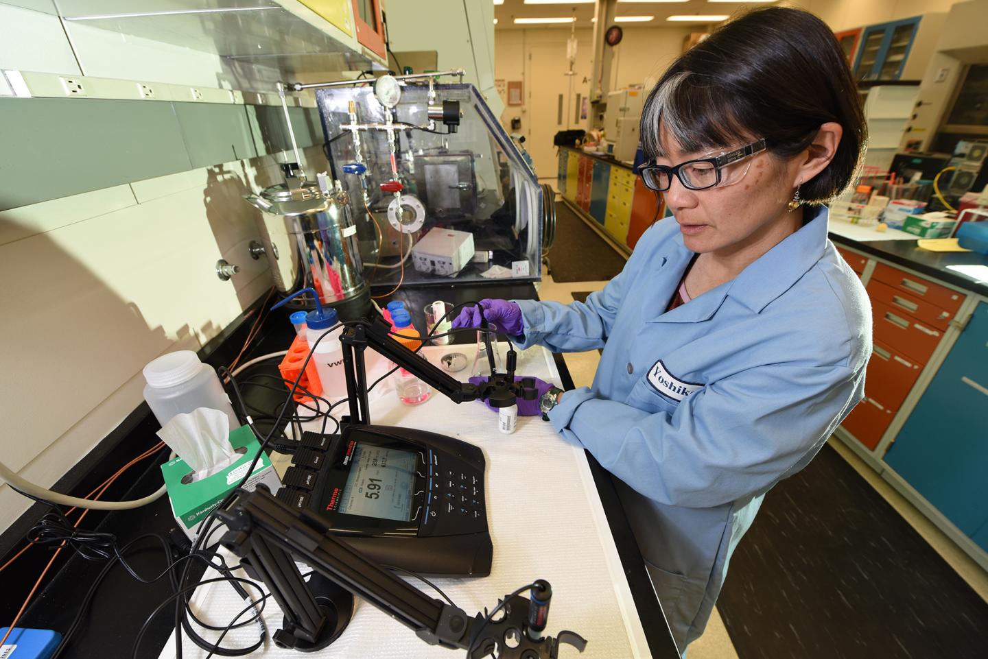 Bioleaching at INL