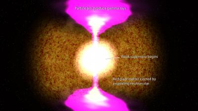Christmas Burst as the Merger of a Red Giant and a Neutron Star