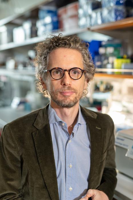 Dr. Dan Landau Named Inaugural Chair of the Department of Systems and Computational Biomedicine at Weill Cornell Medicine