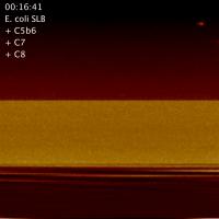 Hole-Forming Nanomachines