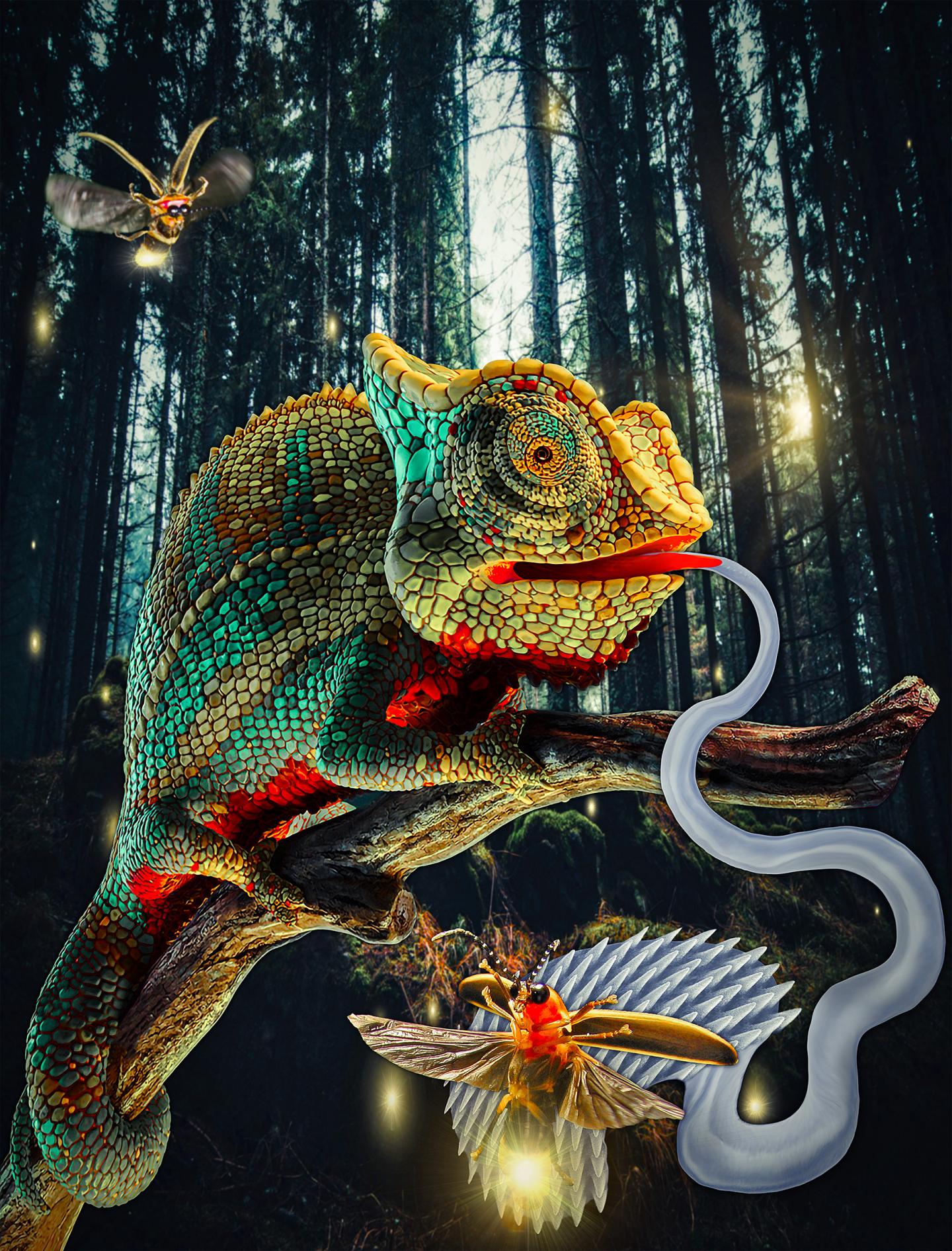 Chameleon Robots