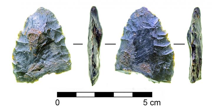 Stone Tools, Butchered Mastodon at Prehistoric Site in Florida Confirm Pre-Clovis Peopling of the Americas (11 of 11)