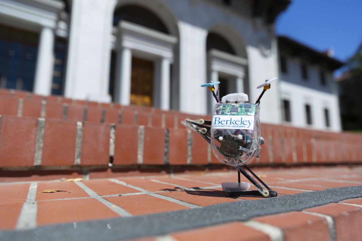 Salto the Jumping Robot