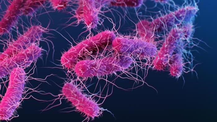 Pathogen Illustration