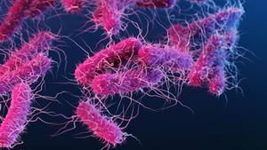 Pathogen Illustration