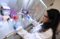 Dr. Laura Gonzalez, Arizona State University