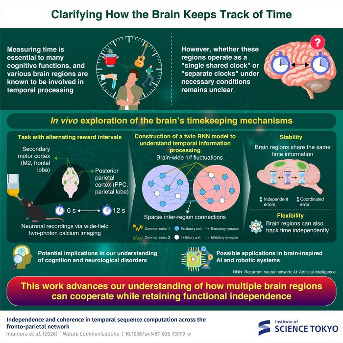 Clarifying How the Brain Keeps Track of Time