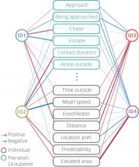 Mice Personality Map