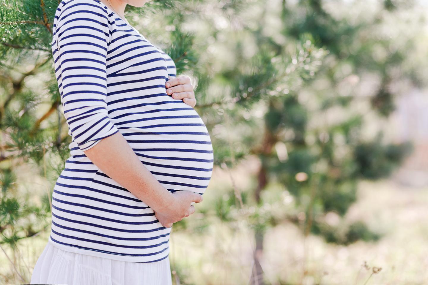 Researchers Create First 3-D Mathematical Model of Uterine Contractions
