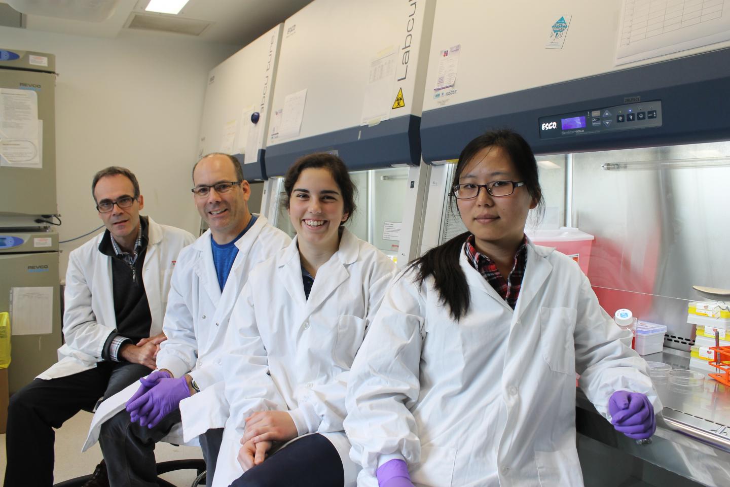 IA Researchers