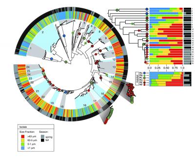 Eco-Phylogenetic Tree
