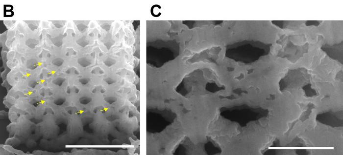 Engineering Tiny 3D Metallic Parts