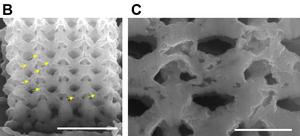 Engineering Tiny 3D Metallic Parts