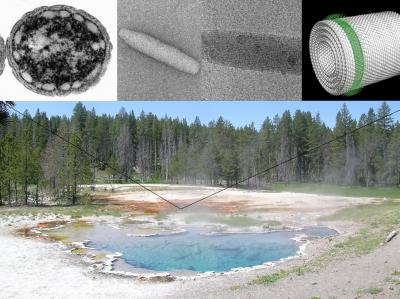 Yellowstone National Park