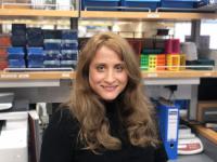 Sonja Schrepfer, MD, PhD