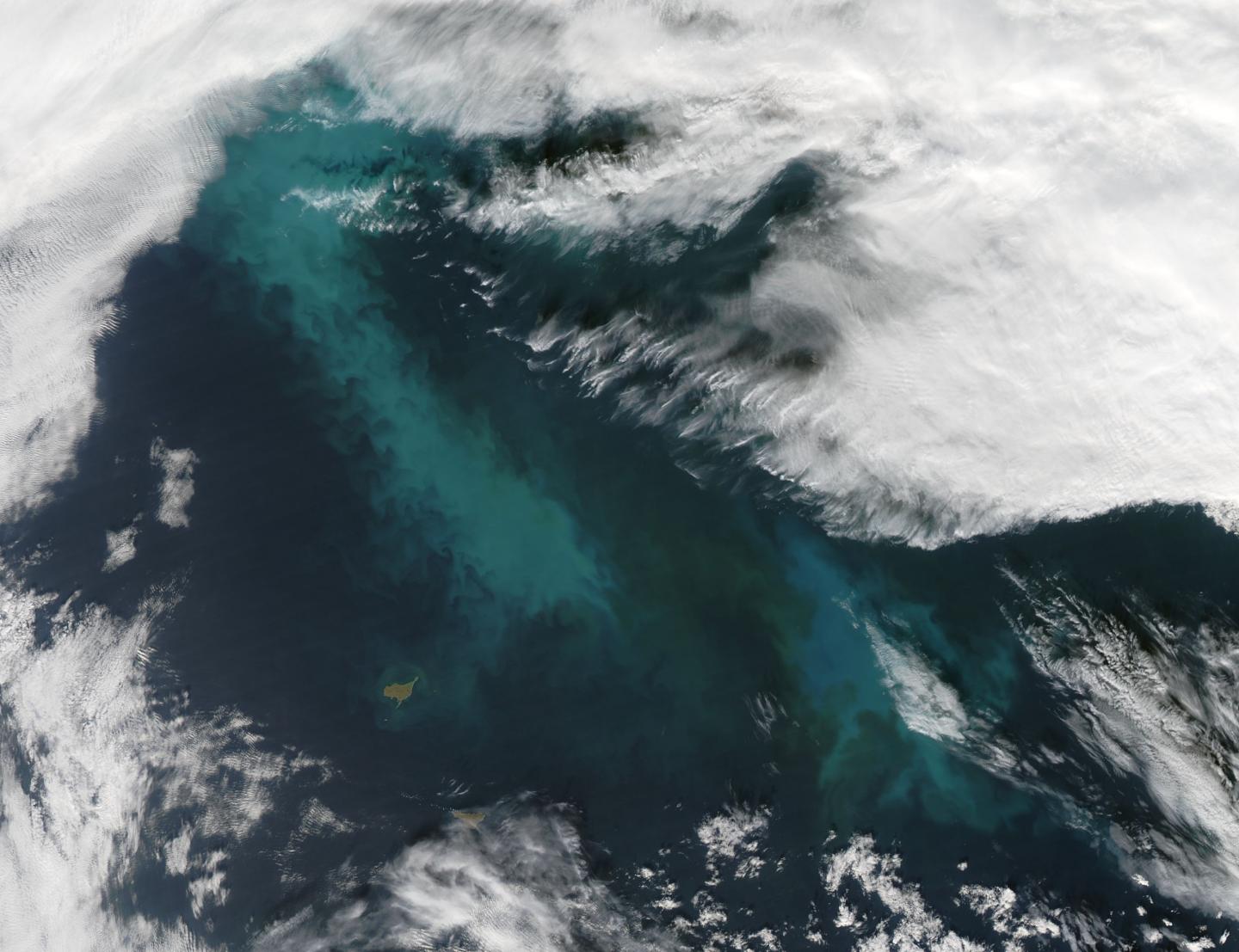 Bering Sea