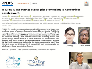PNAS: TMEM161B modulates radial glial scaffolding in neocorticaldevelopment