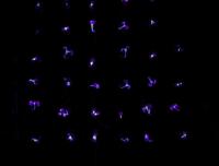 Mustard-Plant Seedlings Glow Fades