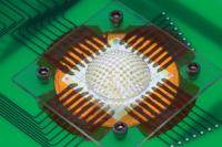 Insect-Inspired Camera (2 of 2)