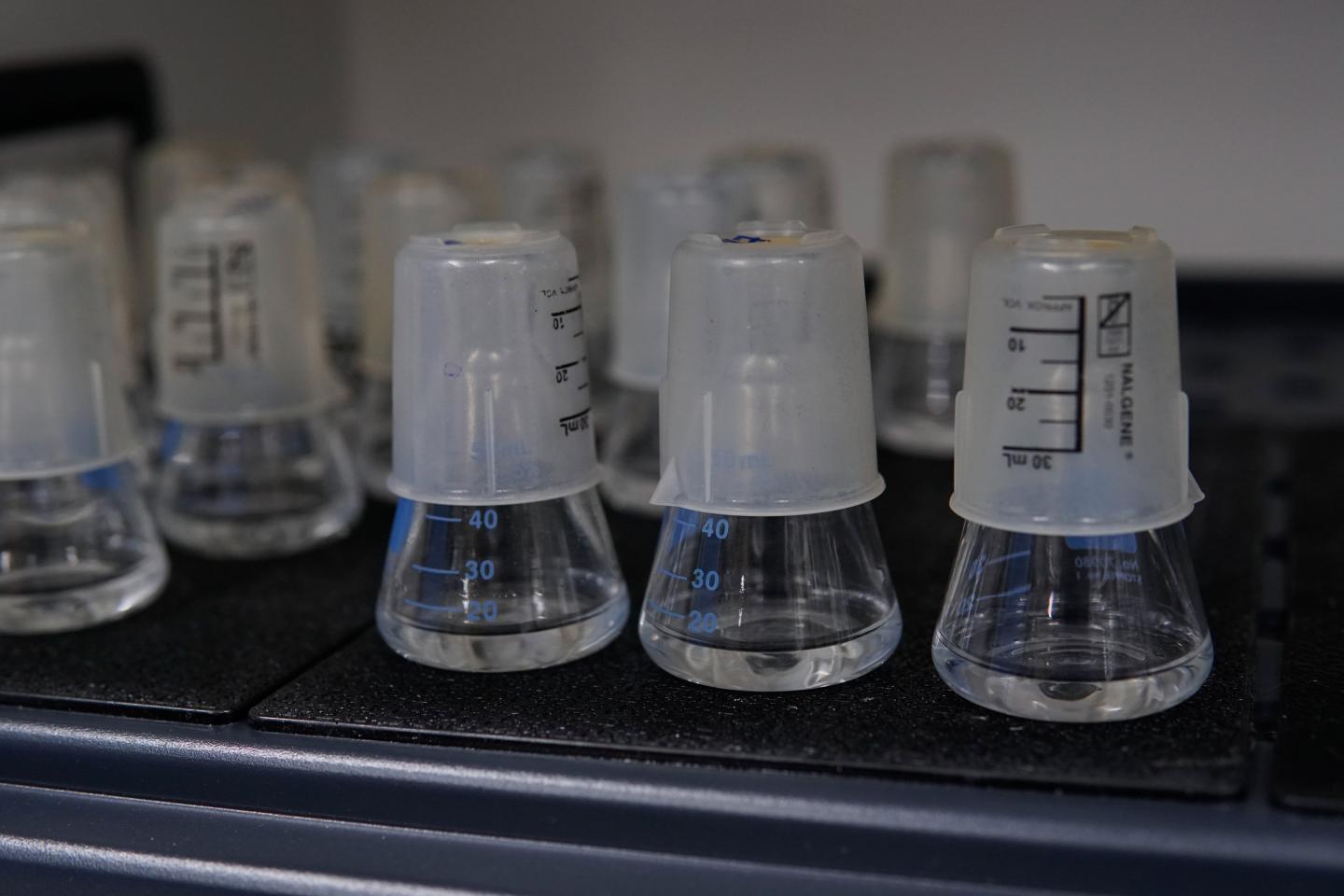 Training flasks
