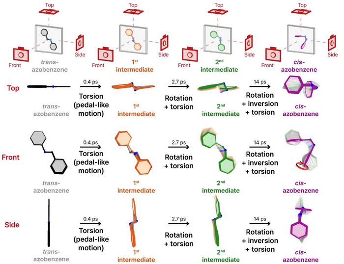 KAIST Reveals How the Light-Responsive Molecular Switch Azobenzene Changes Shape