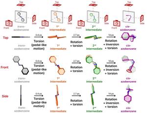 KAIST Reveals How the Light-Responsive Molecular Switch Azobenzene Changes Shape